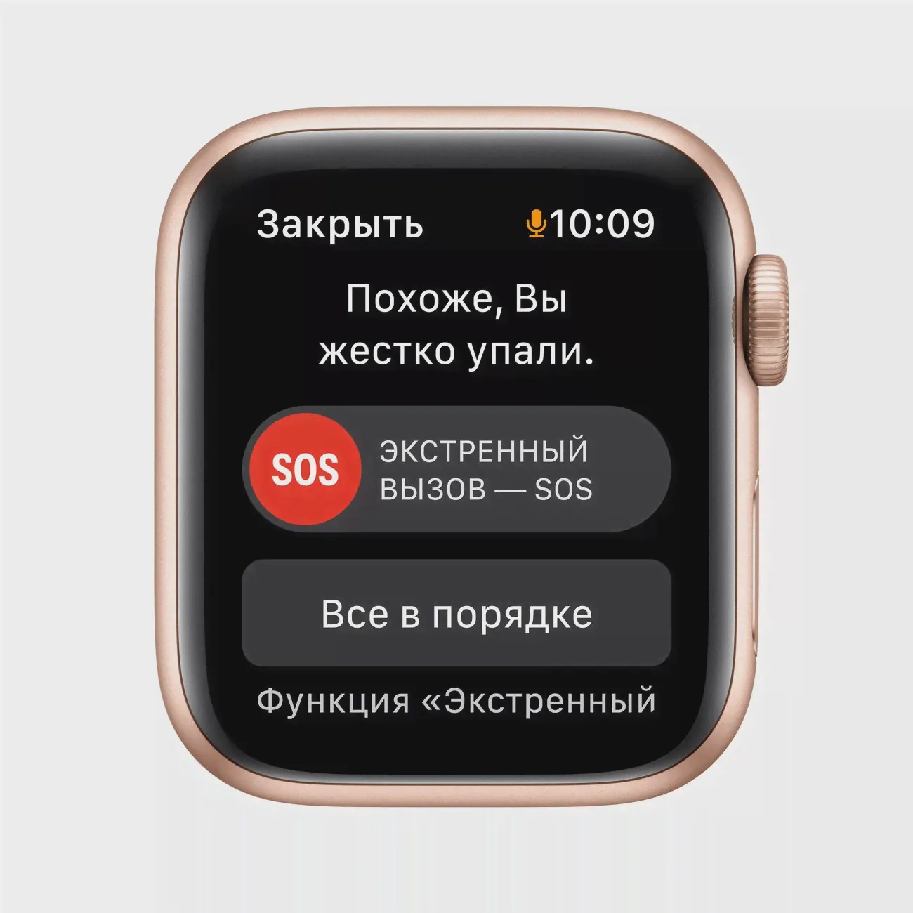 Смарт-часы Apple Watch Series SE GPS 40mm Gold/Starlight Sport Band (MKQ03)-2